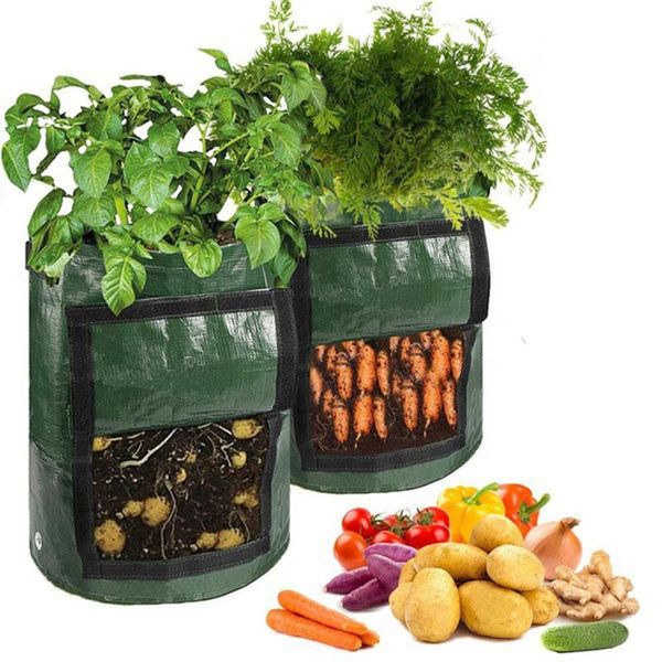 planters & pots 2pcs potato cultivation planting bags pe fabric vegetable tomato grow home garden growing planter container
planters & pots 2pcs potato cultivation planting bags pe fabric vegetable tomato grow home garden growing planter container