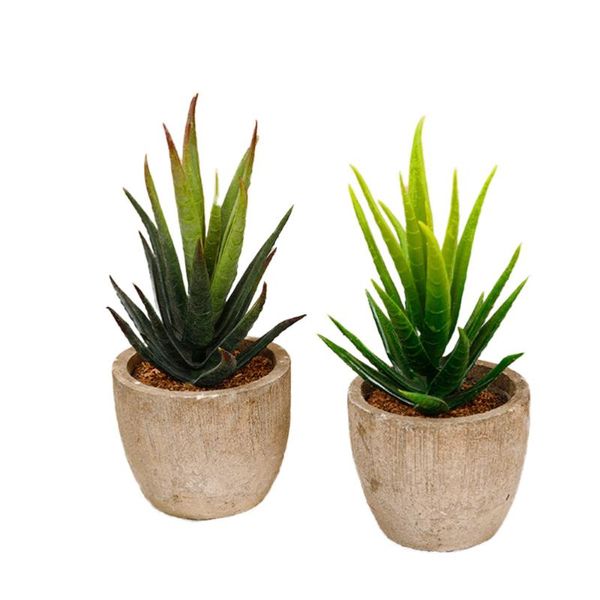 2 pcs simulated succulent plant ornament fake plant landscape decors ornaments for home office balcony supplies (green, light gr
2 pcs simulated succulent plant ornament fake plant landscape decors ornaments for home office balcony supplies (green, light gr