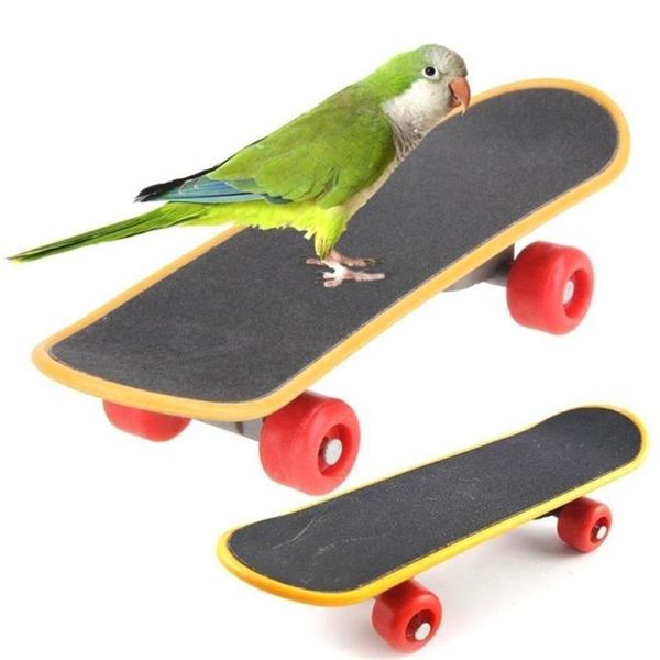 other bird supplies pet intellectual claw toy parrot training toys mini frosted skateboard interactive educational
other bird supplies pet intellectual claw toy parrot training toys mini frosted skateboard interactive educational