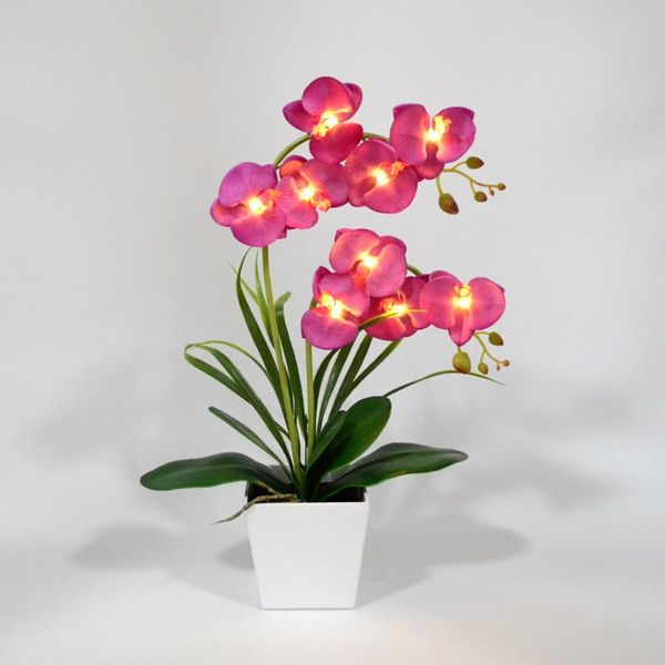 led blossom orchid flower light 9 pcs warm white led /lighted flowers with battery pot orchid flower bonsai
led blossom orchid flower light 9 pcs warm white led /lighted flowers with battery pot orchid flower bonsai