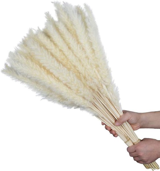 decorative flowers & wreaths bulrush natural dried artificial plants branch colorful ins pampas grass phragmites fake flower wedding home de
decorative flowers & wreaths bulrush natural dried artificial plants branch colorful ins pampas grass phragmites fake flower wedding home de