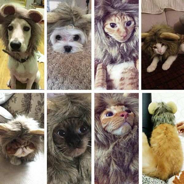 dog apparel pet cat cap funny hat lion mane wig party cosplay costume accessory out door head wear
dog apparel pet cat cap funny hat lion mane wig party cosplay costume accessory out door head wear