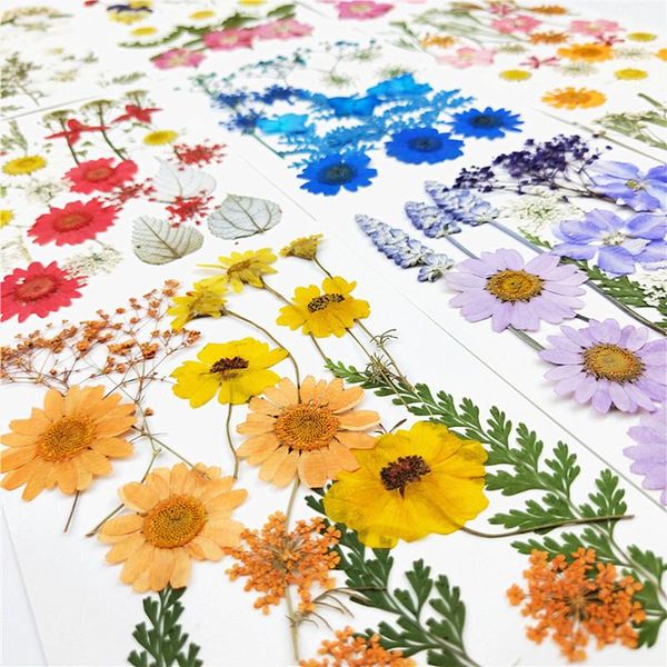 real dried flower dry plants for candle epoxy resin pendant necklace jewelry making craft diy accessories
real dried flower dry plants for candle epoxy resin pendant necklace jewelry making craft diy accessories