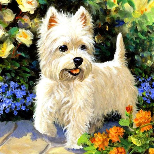 diamond painting full square/round drill 5d diy "cute white dog" 3d embroidery cross stitch rhinestone home decor gift
diamond painting full square/round drill 5d diy "cute white dog" 3d embroidery cross stitch rhinestone home decor gift