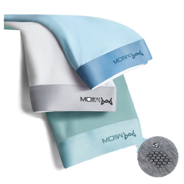 3pcs mens underwear boxers men boxershort panties man boxeur homme underpants calzoncillos bamboo fiber mesh loose designer 2020, Black;brown
3pcs mens underwear boxers men boxershort panties man boxeur homme underpants calzoncillos bamboo fiber mesh loose designer 2020, Black;brown