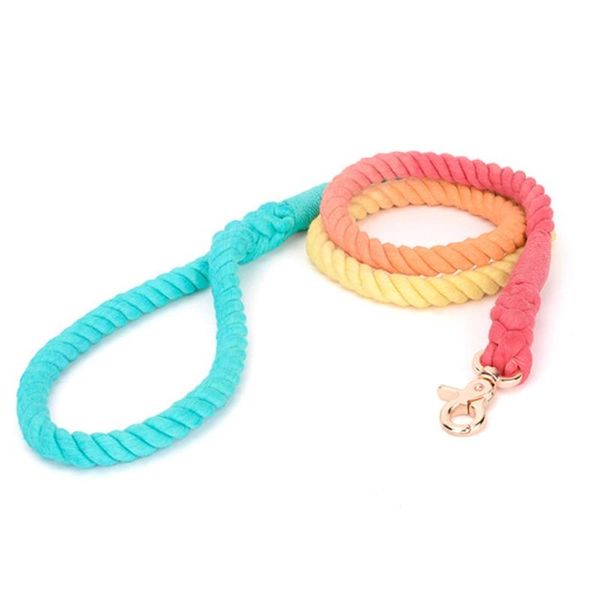 single piece dog leash multifunctional traction rope outdoor rainbow gradient shaped chain collar hand woven anti wear
single piece dog leash multifunctional traction rope outdoor rainbow gradient shaped chain collar hand woven anti wear