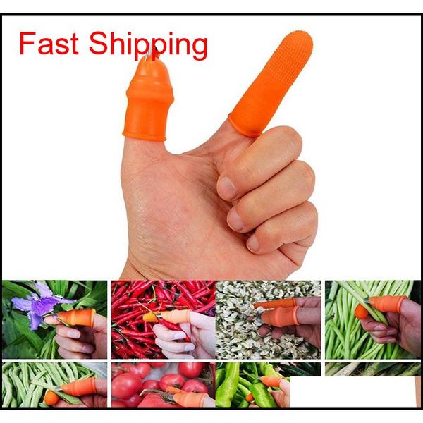 sile thumb knife plant fruit vegetable separator picker with flat / curved blade for vegetable garden k jlladg lucky2005
sile thumb knife plant fruit vegetable separator picker with flat / curved blade for vegetable garden k jlladg lucky2005