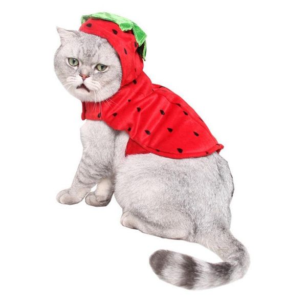 lovely pet puppy dog coat strawberry hoodie clothes apparel with hat autumn winter warm jacket outfit for dogs
lovely pet puppy dog coat strawberry hoodie clothes apparel with hat autumn winter warm jacket outfit for dogs