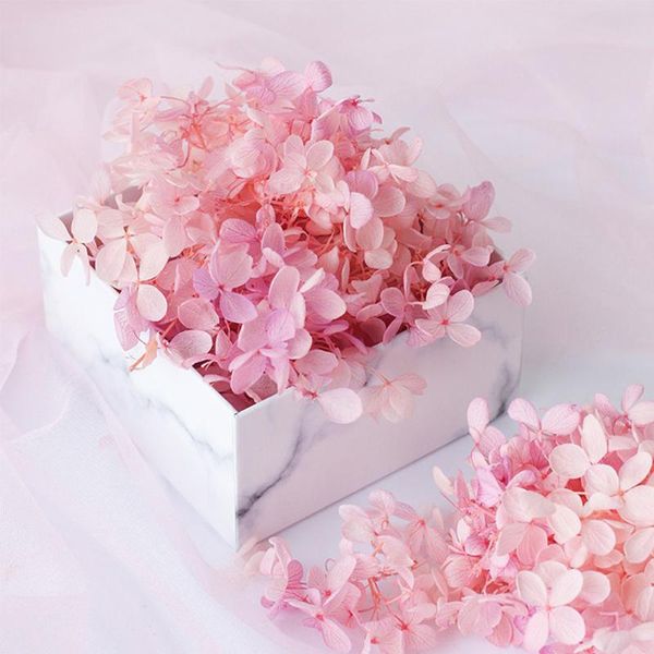 decorative flowers & wreaths 20g natural fresh preserved dried hydrangea flower head for diy real eternal life material wedding party decor
decorative flowers & wreaths 20g natural fresh preserved dried hydrangea flower head for diy real eternal life material wedding party decor