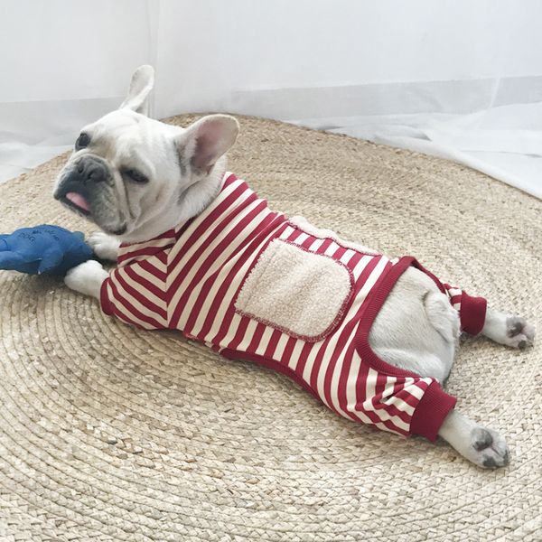 pet dog clothing autumn and winter super soft four legged small dog cat sweater british short bear cotton
pet dog clothing autumn and winter super soft four legged small dog cat sweater british short bear cotton
