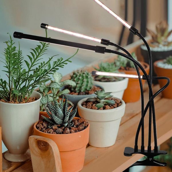 clip-on indoor flowers vegetables growth lamps 2/3/4 tubes usb led grow lights plant growth lights lamp bulb
clip-on indoor flowers vegetables growth lamps 2/3/4 tubes usb led grow lights plant growth lights lamp bulb