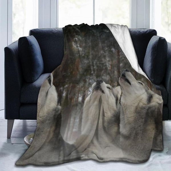 blankets flannel blanket three wolfs howlling at forest soft thin fleece bedspread cover for bed sofa home decor dropship
blankets flannel blanket three wolfs howlling at forest soft thin fleece bedspread cover for bed sofa home decor dropship