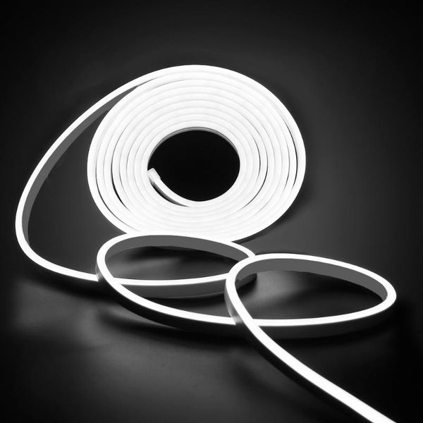 strips rgb neon light 12v 24v flexible led ribbon tape 2835 120leds strip waterproof rope white/warm white sign
strips rgb neon light 12v 24v flexible led ribbon tape 2835 120leds strip waterproof rope white/warm white sign