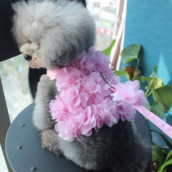 dog collars & leashes pink breathable stereo flower harness small pet leash and set puppy vest blue green for chihuahua teddy
dog collars & leashes pink breathable stereo flower harness small pet leash and set puppy vest blue green for chihuahua teddy