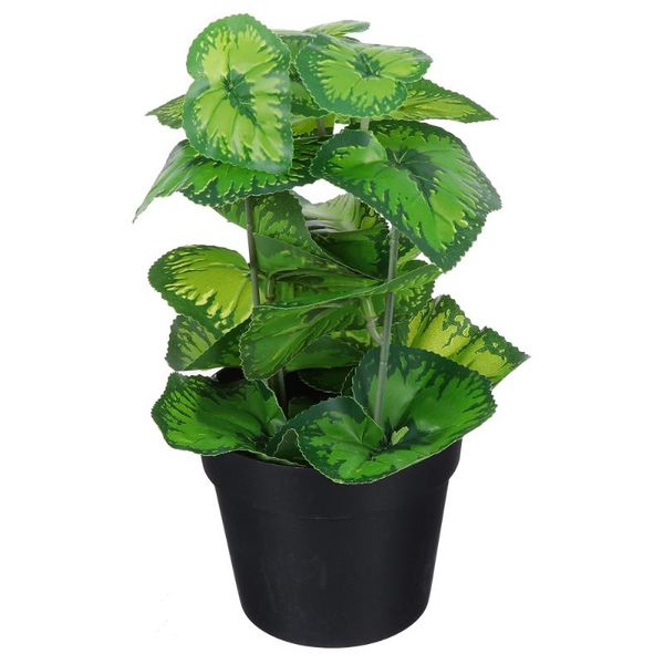 realistic faux begonia rex bonsai simulation greenery potted plant for office
realistic faux begonia rex bonsai simulation greenery potted plant for office