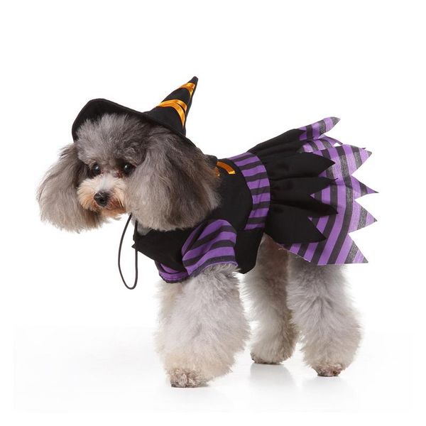 dog apparel clothes christmas pet fashion costume halloween wacky personality
dog apparel clothes christmas pet fashion costume halloween wacky personality