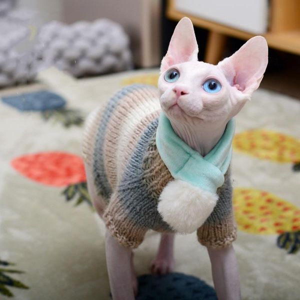 cat costumes pet handmade sweater sphinx hairless rainbow style clothes velvet kitten
cat costumes pet handmade sweater sphinx hairless rainbow style clothes velvet kitten
