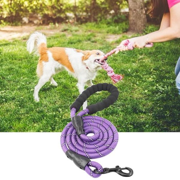 dog collars & leashes reflective medium-sized large traction rope pet running tracking comfortable handles strip long
dog collars & leashes reflective medium-sized large traction rope pet running tracking comfortable handles strip long