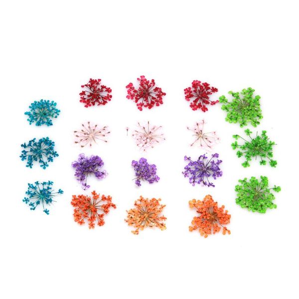 nail art decorations 12 different colors real 3d dried flower for acrylic false tips salon tools, Silver;gold
nail art decorations 12 different colors real 3d dried flower for acrylic false tips salon tools, Silver;gold