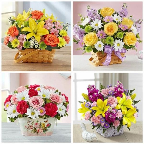 diamond painting azqsd embroidery flower basket mosaic diy picture of rhinestones cross stitch christmas gift
diamond painting azqsd embroidery flower basket mosaic diy picture of rhinestones cross stitch christmas gift