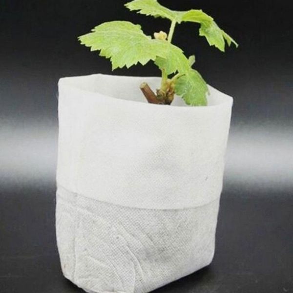 planters & pots 400pcs non-woven bag degradable cup thickened container biodegradable bags breathable plant grow for garden use w
planters & pots 400pcs non-woven bag degradable cup thickened container biodegradable bags breathable plant grow for garden use w
