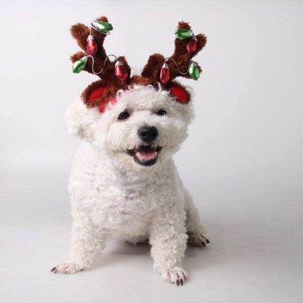 dog apparel funny pet hat decorative party cap for cats small dogs adjustable cute cosplay accessories headwears cat puppy
dog apparel funny pet hat decorative party cap for cats small dogs adjustable cute cosplay accessories headwears cat puppy