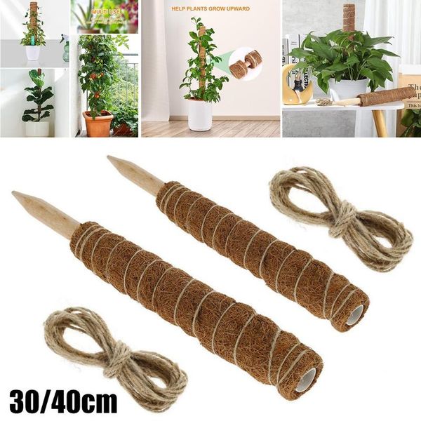 other garden supplies 1pc plant climbing pole coir moss palm vines stick support extension indoor plants
other garden supplies 1pc plant climbing pole coir moss palm vines stick support extension indoor plants