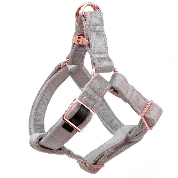 dog collars & leashes silver grey velvet harness basic leash adjustable buckle cotton fabric for or cat
dog collars & leashes silver grey velvet harness basic leash adjustable buckle cotton fabric for or cat