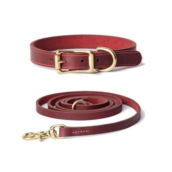 yong youci is in love all kinds of dog with oily head leather collar and traction rope set j647
yong youci is in love all kinds of dog with oily head leather collar and traction rope set j647