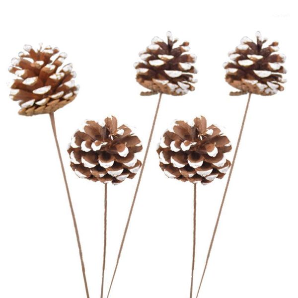 christmas decorations 5 pcs dried flower natural pine cone bouquet accessories diy crafting home decoration pography props for gift
christmas decorations 5 pcs dried flower natural pine cone bouquet accessories diy crafting home decoration pography props for gift
