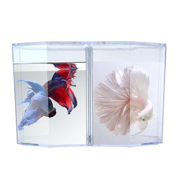 aquariums saim 1pcs double betta box fish tank aquarium clear breeding isolation transparent arcylic
aquariums saim 1pcs double betta box fish tank aquarium clear breeding isolation transparent arcylic