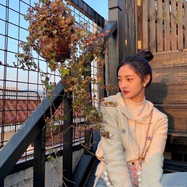 women's knits & tees zawfl women's fashion knitted cardigan, harajuku sweater, pine flower embroidery, sleeve lantern, spring and, White
women's knits & tees zawfl women's fashion knitted cardigan, harajuku sweater, pine flower embroidery, sleeve lantern, spring and, White