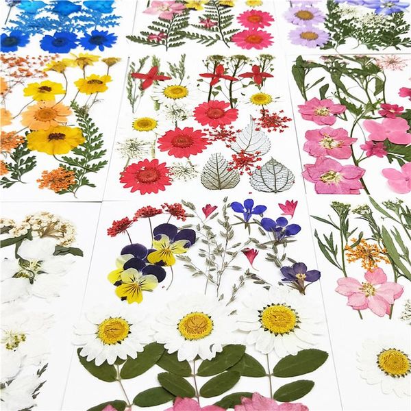 decorative eye dried flowers stickers petal makeup bridal makeup floral decors collection gift craft diy
decorative eye dried flowers stickers petal makeup bridal makeup floral decors collection gift craft diy