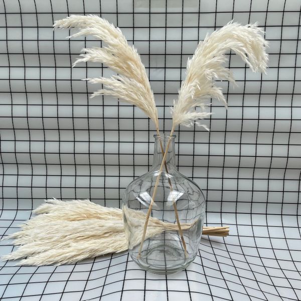 20 stems white color dried pampas grass wedding use flower christmal gift home decoration fall decor
20 stems white color dried pampas grass wedding use flower christmal gift home decoration fall decor