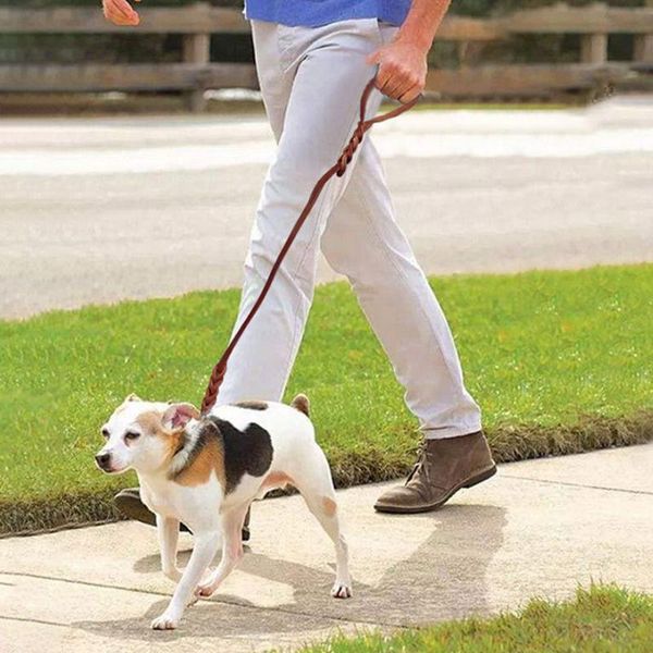 dog collars & leashes 1.8m large leash walking training lead braided real leather big traction rope for german shepherd labrador husky dogs
dog collars & leashes 1.8m large leash walking training lead braided real leather big traction rope for german shepherd labrador husky dogs