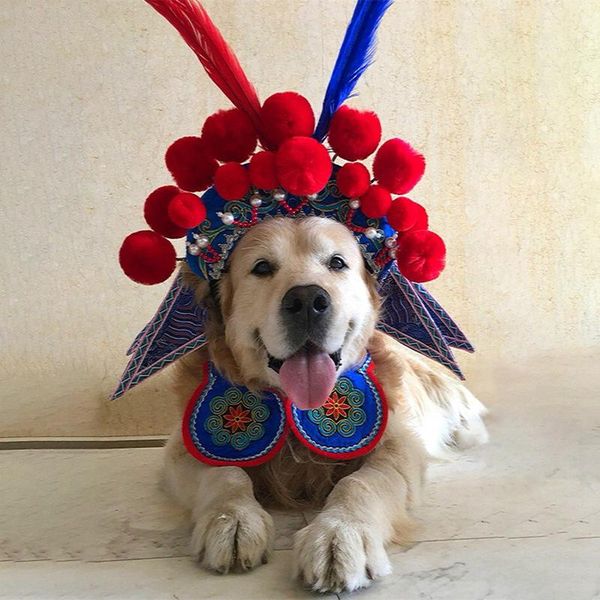 dog apparel pet halloween headdress chinese style peking opera hat polyester cat caps festival party costume
dog apparel pet halloween headdress chinese style peking opera hat polyester cat caps festival party costume