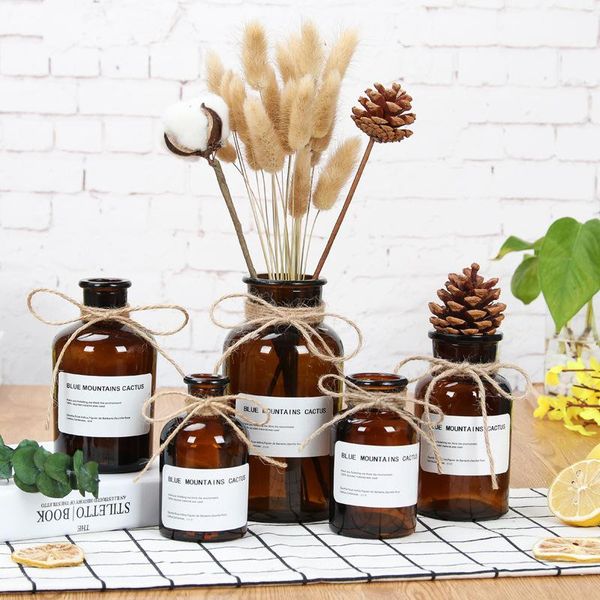 vases nordic glass vase home creative jewelry ornaments transparent dried flowers hydroponic small brown bottle decoration
vases nordic glass vase home creative jewelry ornaments transparent dried flowers hydroponic small brown bottle decoration