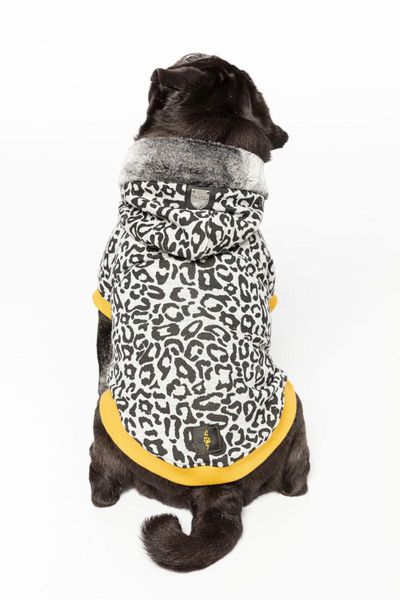 removable hood,sizes xxs(1) - xxl(7),dog clothes,dog clothes for small dogs boy,dog clothes for medium dogs girl,
removable hood,sizes xxs(1) - xxl(7),dog clothes,dog clothes for small dogs boy,dog clothes for medium dogs girl,