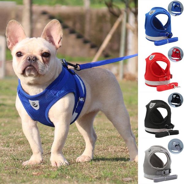 dog collars & leashes og harness and leash set, adjustable reflective outdoor vest, soft mesh chest for dogs-easy control walking
dog collars & leashes og harness and leash set, adjustable reflective outdoor vest, soft mesh chest for dogs-easy control walking