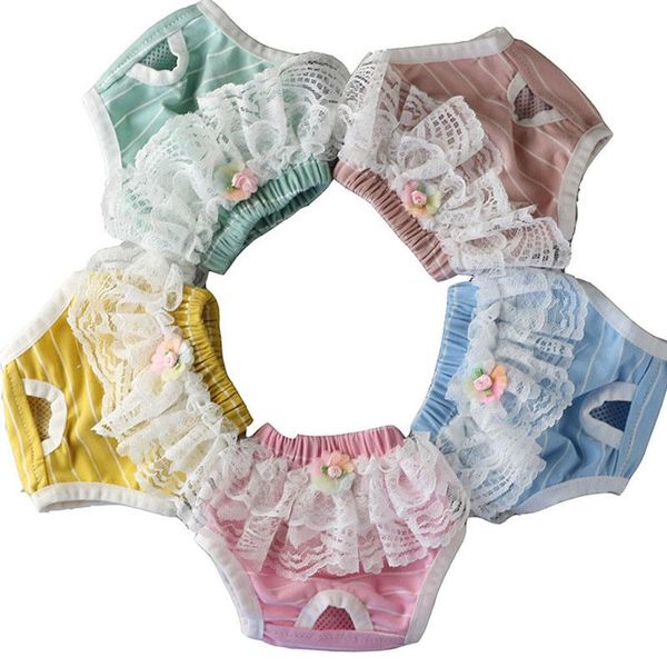 dog apparel 100% cotton cute female physiological menstrual hygiene pants breathable strips lace underwear shorts for princess cat brief
dog apparel 100% cotton cute female physiological menstrual hygiene pants breathable strips lace underwear shorts for princess cat brief