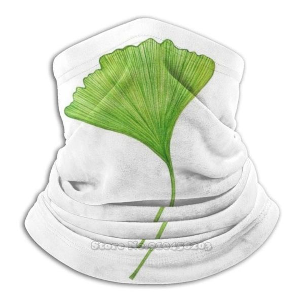 scarves ginkgo biloba leaf scarf bandana headband outdoor climbing warmer face mask green foliage ginko flora nature gingko, Blue;gray
scarves ginkgo biloba leaf scarf bandana headband outdoor climbing warmer face mask green foliage ginko flora nature gingko, Blue;gray