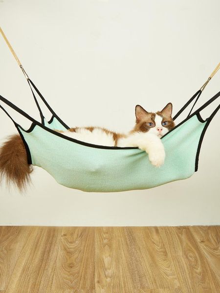 dog apparel pet cat cage hammock bed mat for small soft sleeping pad reversible 2 sided resting hammocks hamster hanging
dog apparel pet cat cage hammock bed mat for small soft sleeping pad reversible 2 sided resting hammocks hamster hanging