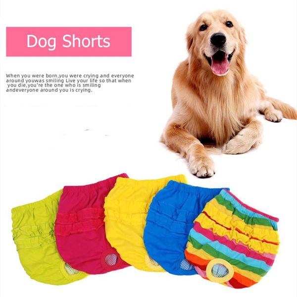 female dog sanitary panties washable dogs shorts menstruation underwear briefs jumpsuit pet physiological pant diaper for dog
female dog sanitary panties washable dogs shorts menstruation underwear briefs jumpsuit pet physiological pant diaper for dog