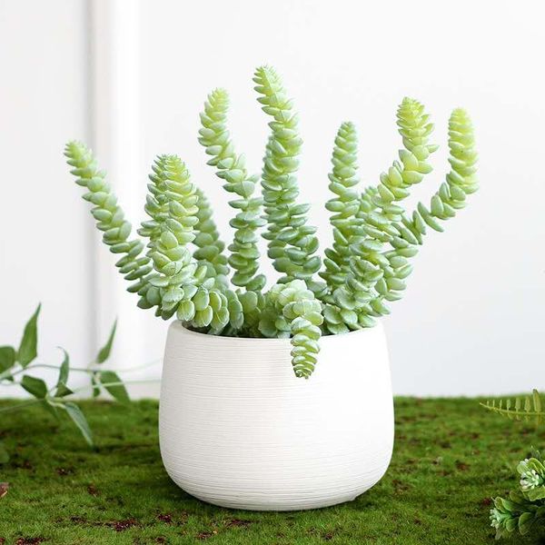 decorative flowers & wreaths 25cm6 fork artificial succulent plant plastic tropical potted green leaf branch wall vase material home balcony
decorative flowers & wreaths 25cm6 fork artificial succulent plant plastic tropical potted green leaf branch wall vase material home balcony