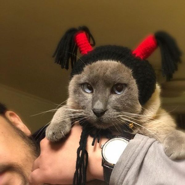 dog apparel pet headwear halloween headband hat cat funny nezha adjustable horn headdress for costume
dog apparel pet headwear halloween headband hat cat funny nezha adjustable horn headdress for costume