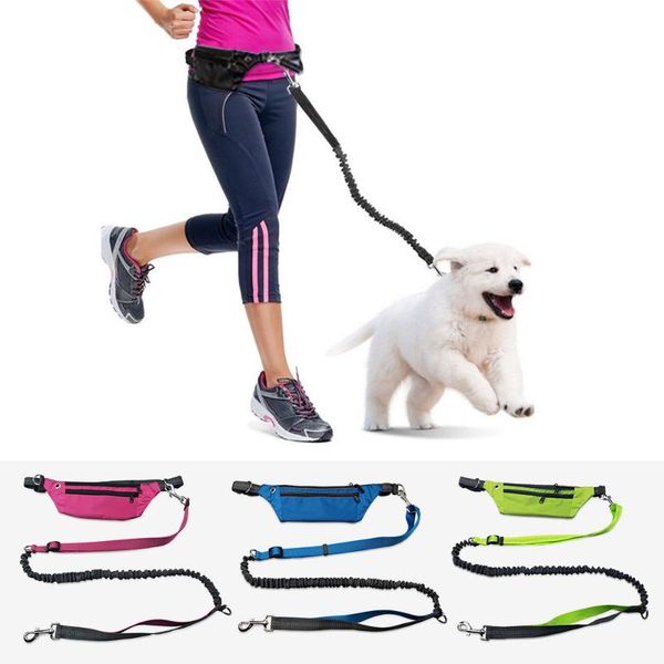 dog collars & leashes hands waist belt pocket leash multifunctional retractable bungee running reflective dual handle lead
dog collars & leashes hands waist belt pocket leash multifunctional retractable bungee running reflective dual handle lead