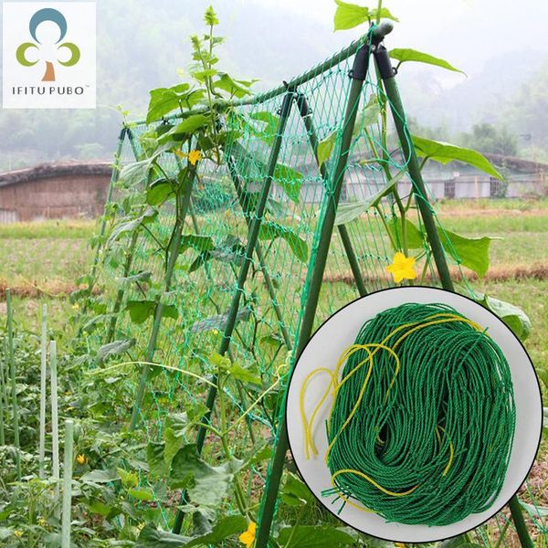 planters & pots plants climbing net melon fruit morning glory vine flower cucumber trellis netting plant garden zxh
planters & pots plants climbing net melon fruit morning glory vine flower cucumber trellis netting plant garden zxh