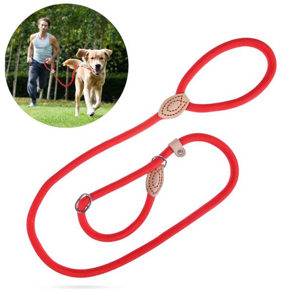 dog collars & leashes leash 2m 1.5m large reflective rope walking big collar strengthen traction harness round nylon medium lead belt
dog collars & leashes leash 2m 1.5m large reflective rope walking big collar strengthen traction harness round nylon medium lead belt