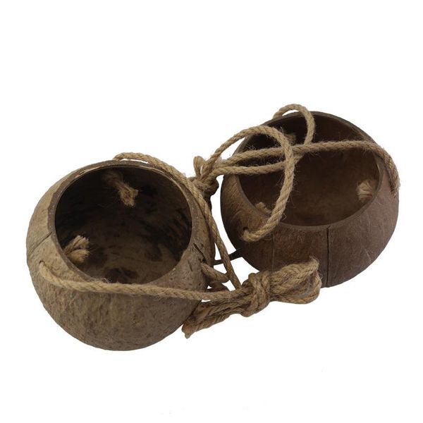 bowls creative coconut shell hanging basket flower pot balcony decoration wall succulent plants basin wedding vase
bowls creative coconut shell hanging basket flower pot balcony decoration wall succulent plants basin wedding vase