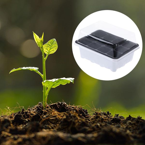 planters & pots 10 pack tray starter with dome and base 12 cells for gardening bonsai - white
planters & pots 10 pack tray starter with dome and base 12 cells for gardening bonsai - white
